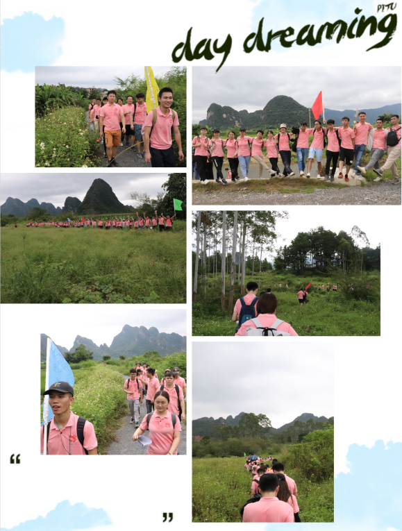 2025新澳门免费原料宝典