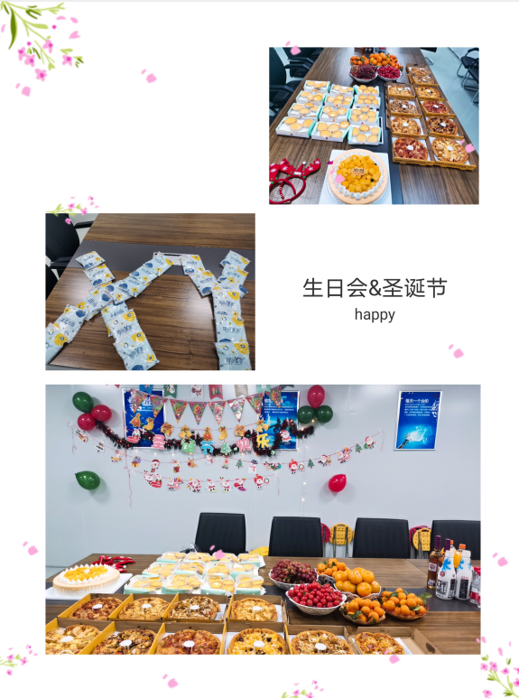 2025新澳门免费原料宝典