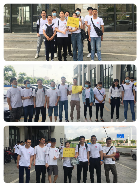 2025新澳门免费原料宝典