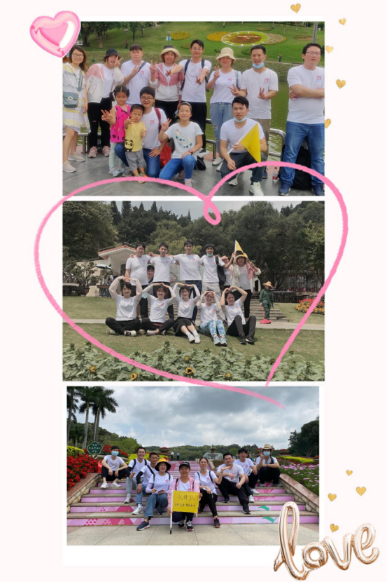 2025新澳门免费原料宝典