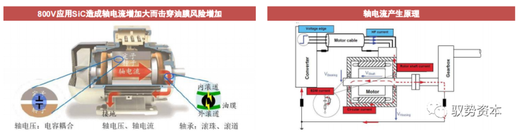 2025新澳门免费原料宝典