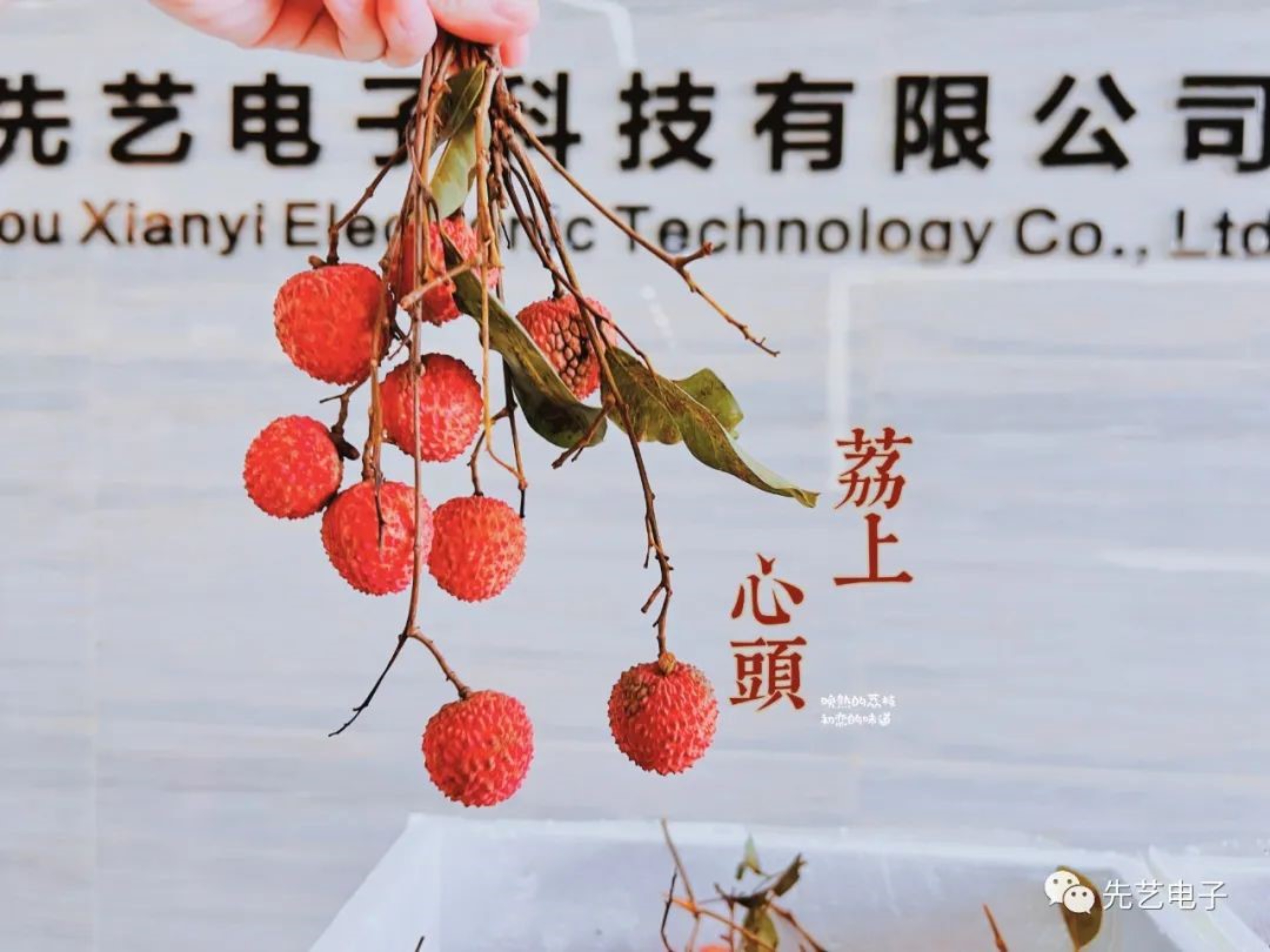 “粽”情端午节 | 生活的滋味不止于咸甜，还有同心协力一往无前