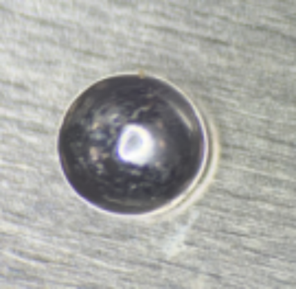 2025新澳门免费原料宝典