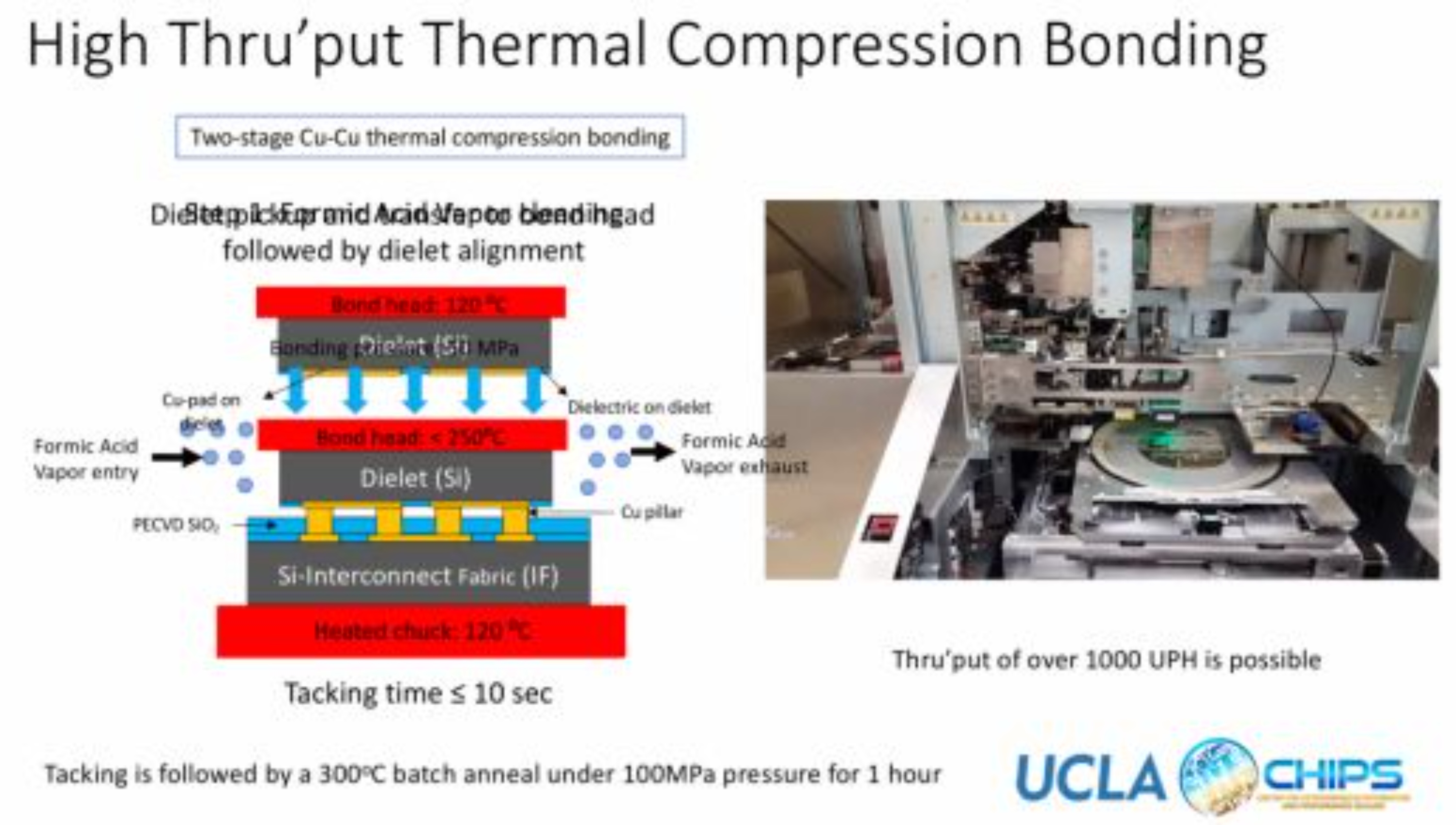 2025新澳门免费原料宝典