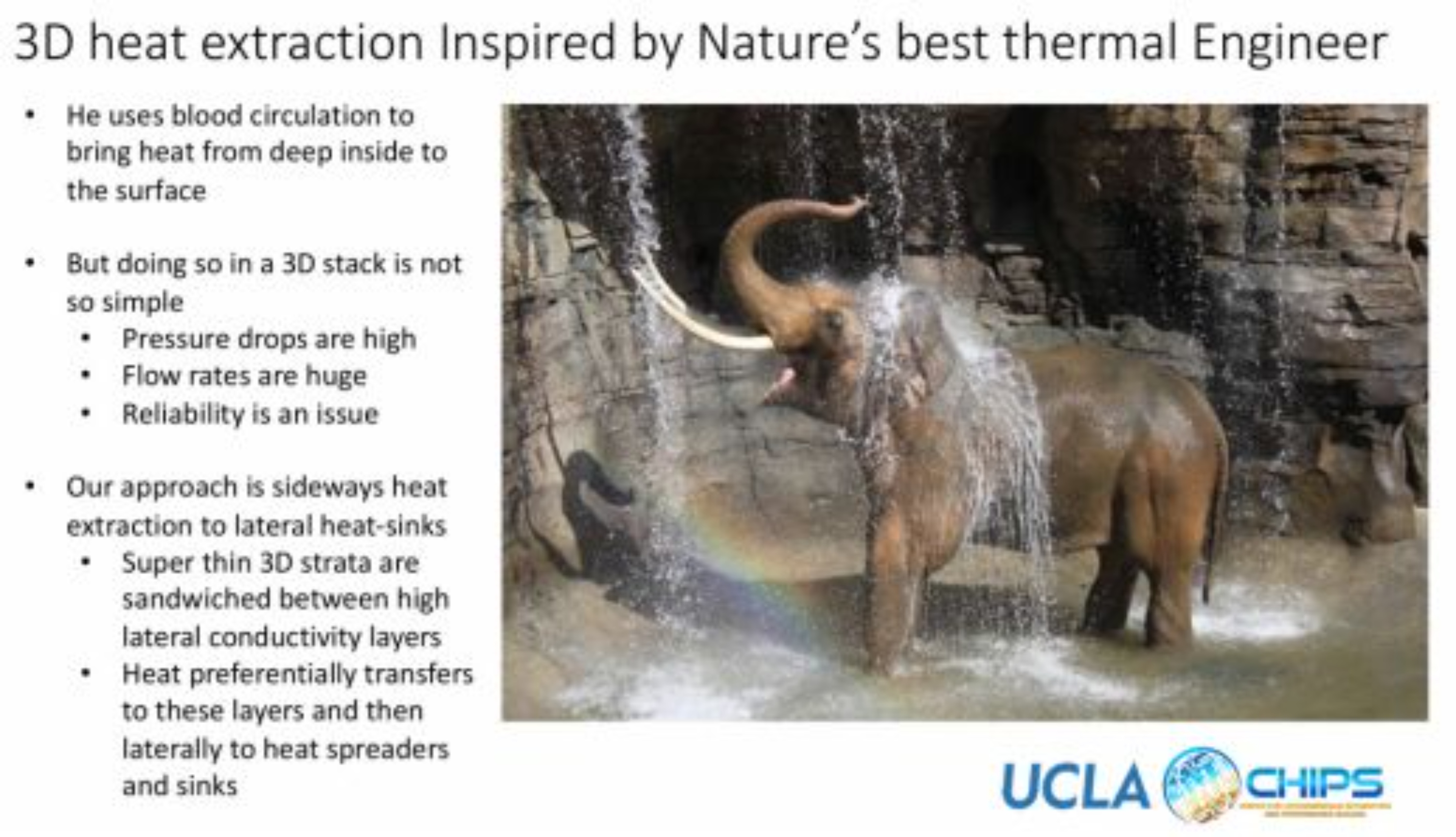 2025新澳门免费原料宝典