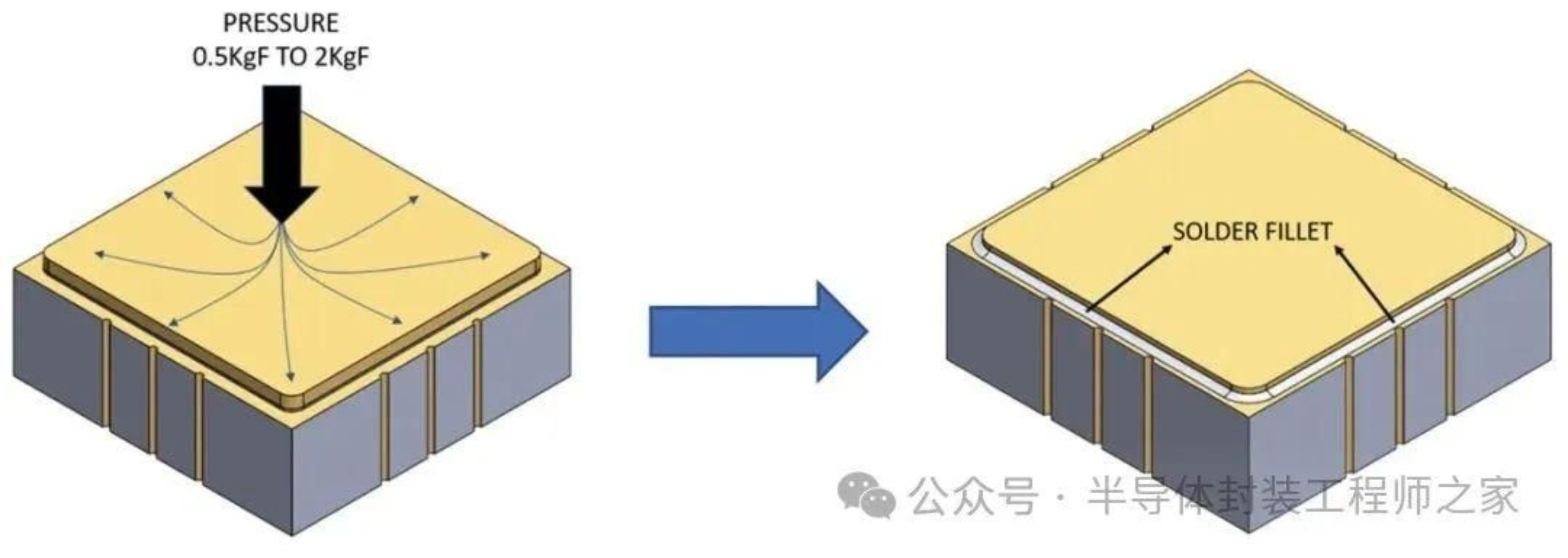 2025新澳门免费原料宝典