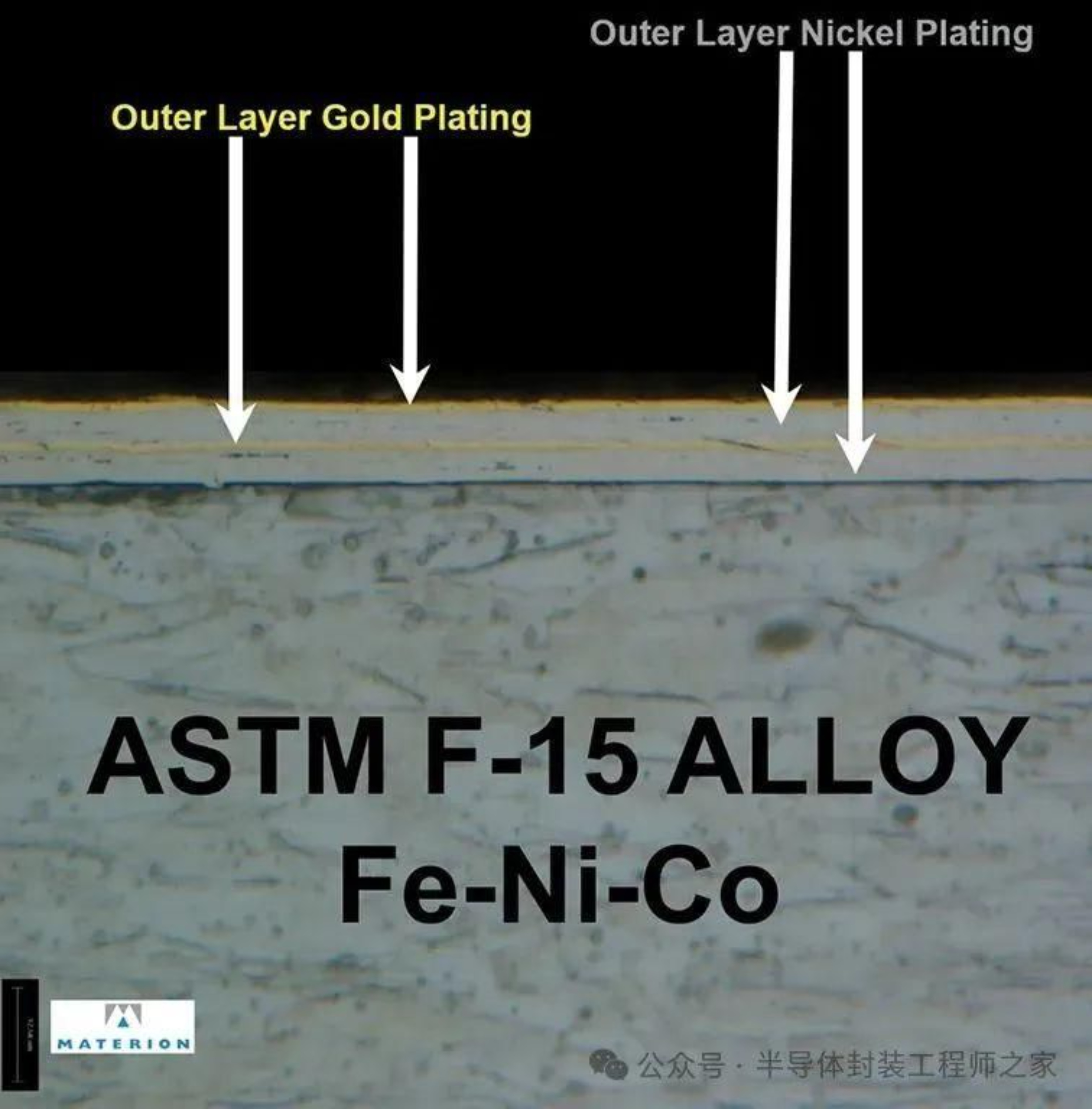 2025新澳门免费原料宝典