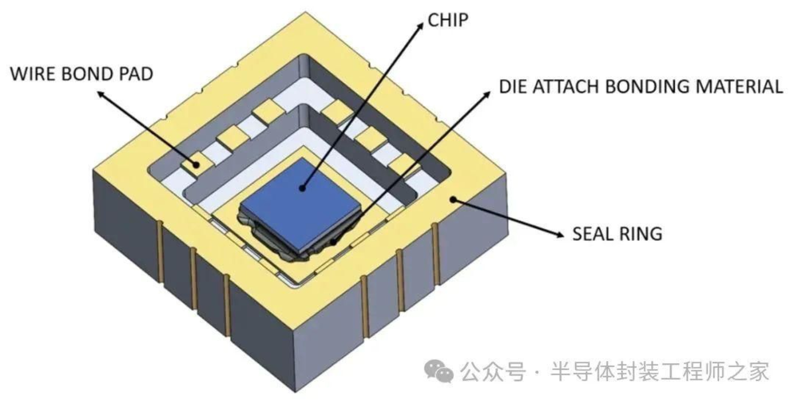 2025新澳门免费原料宝典