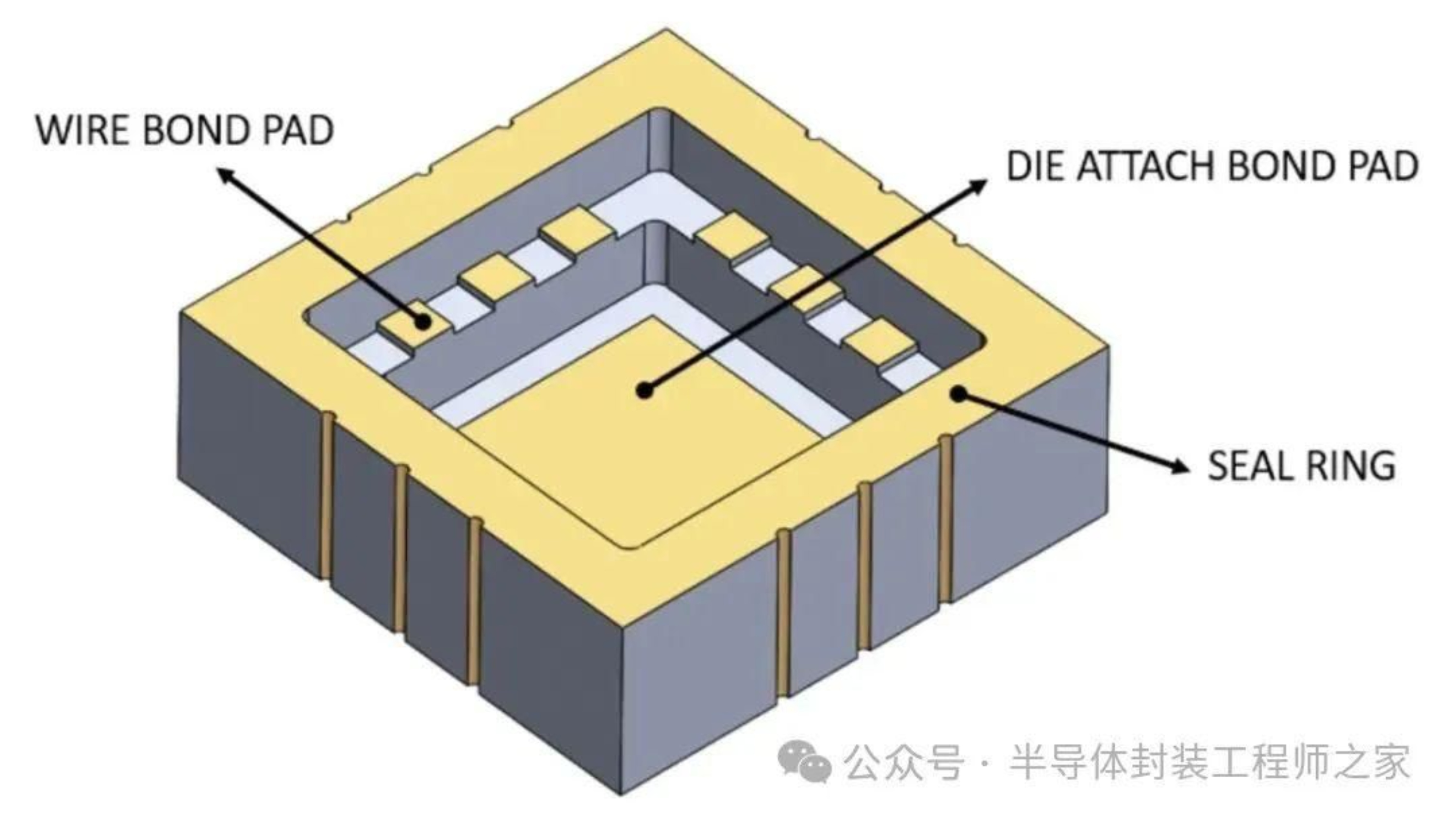 2025新澳门免费原料宝典