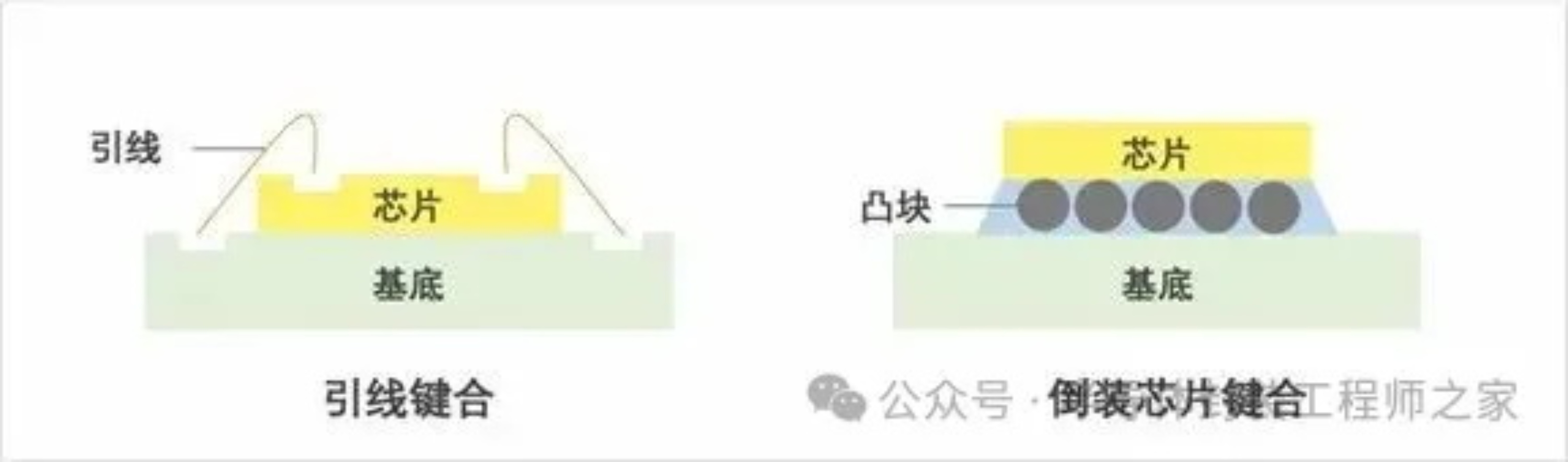 2025新澳门免费原料宝典