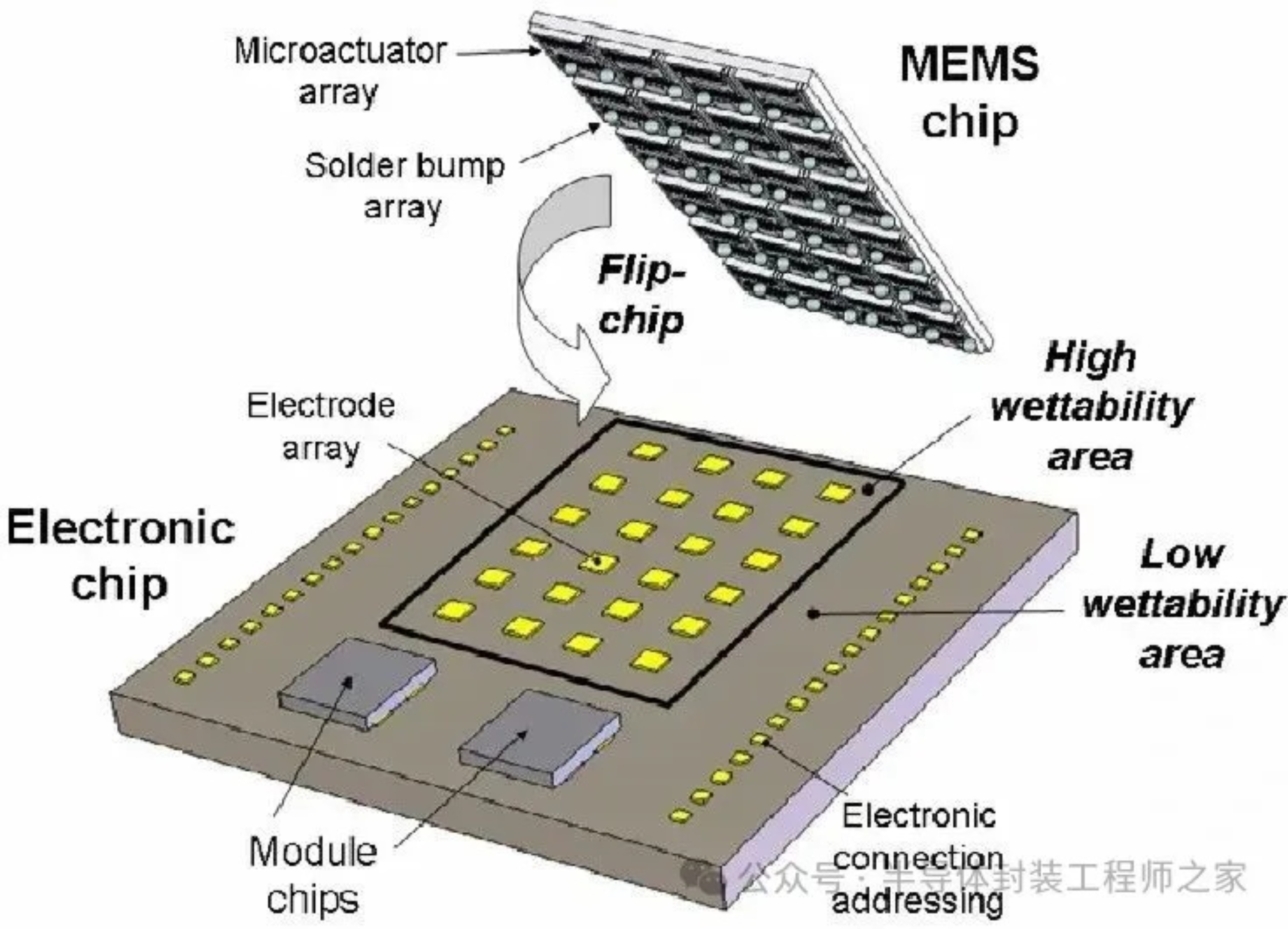 2025新澳门免费原料宝典