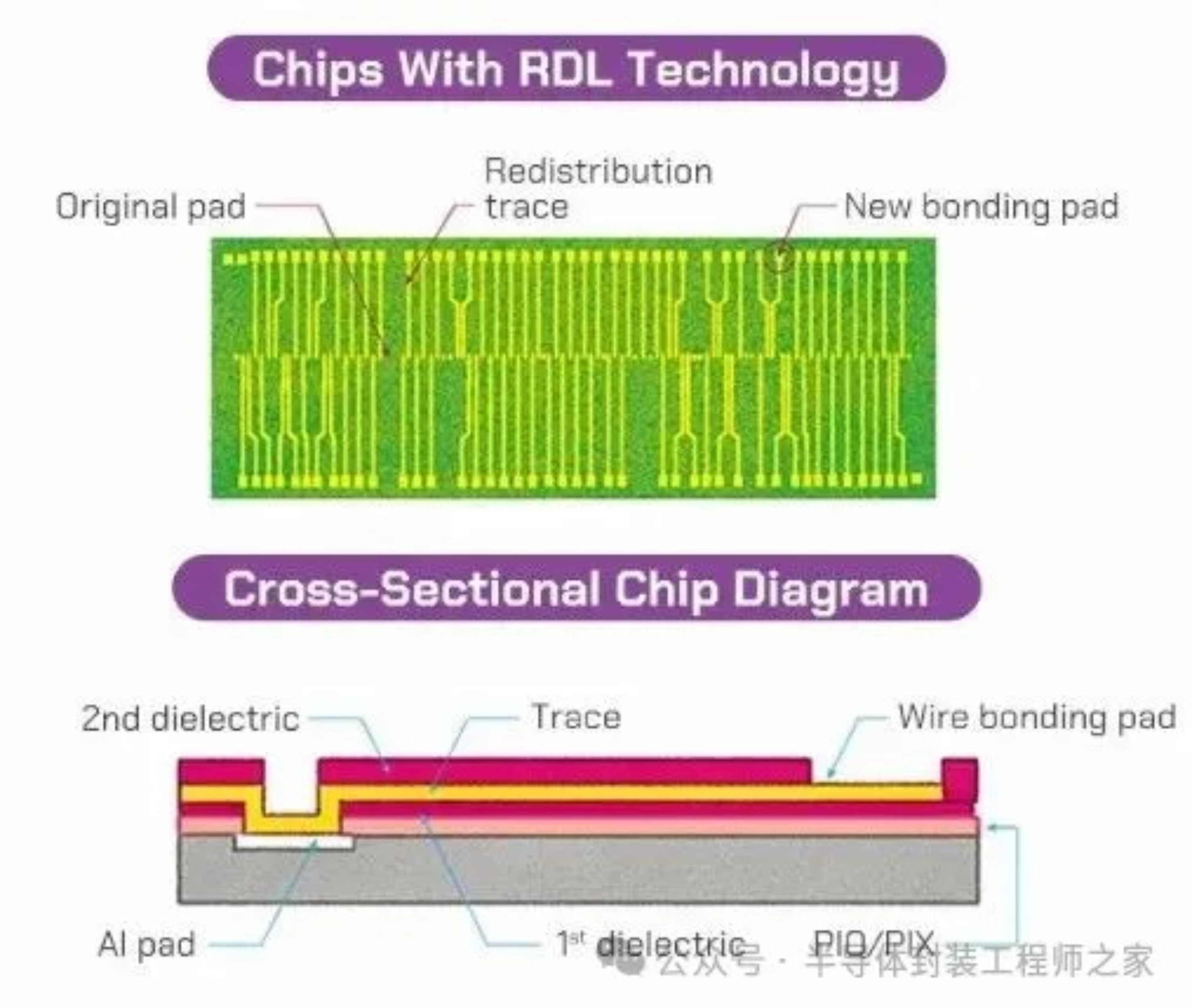 2025新澳门免费原料宝典