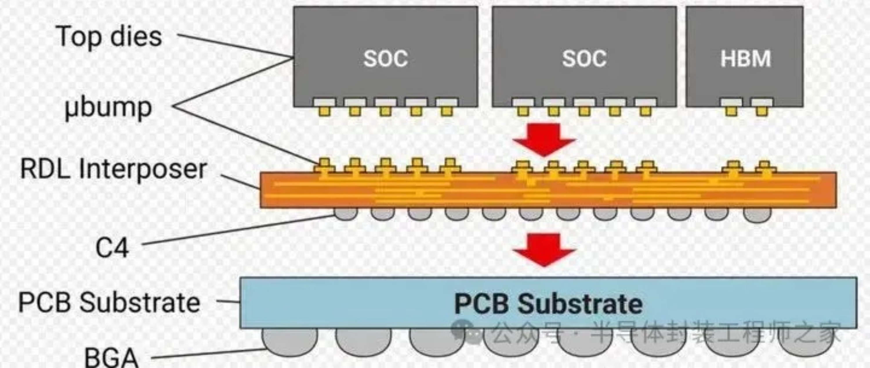 2025新澳门免费原料宝典