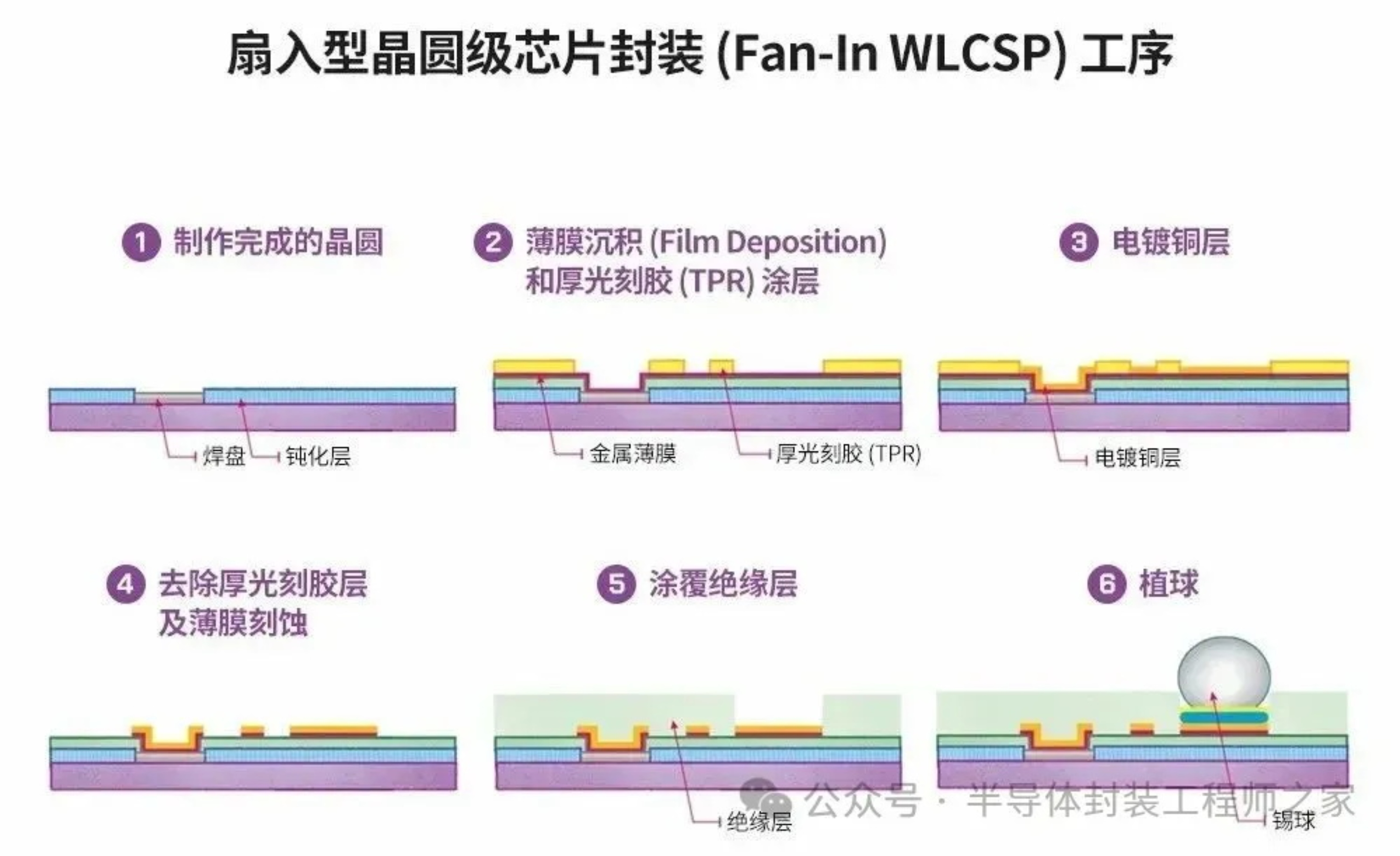 2025新澳门免费原料宝典