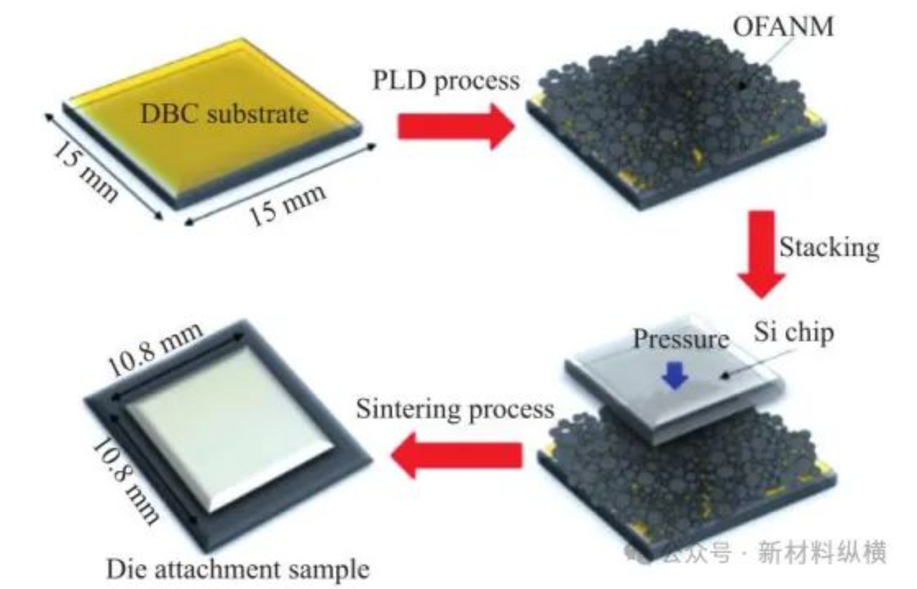 2025新澳门免费原料宝典