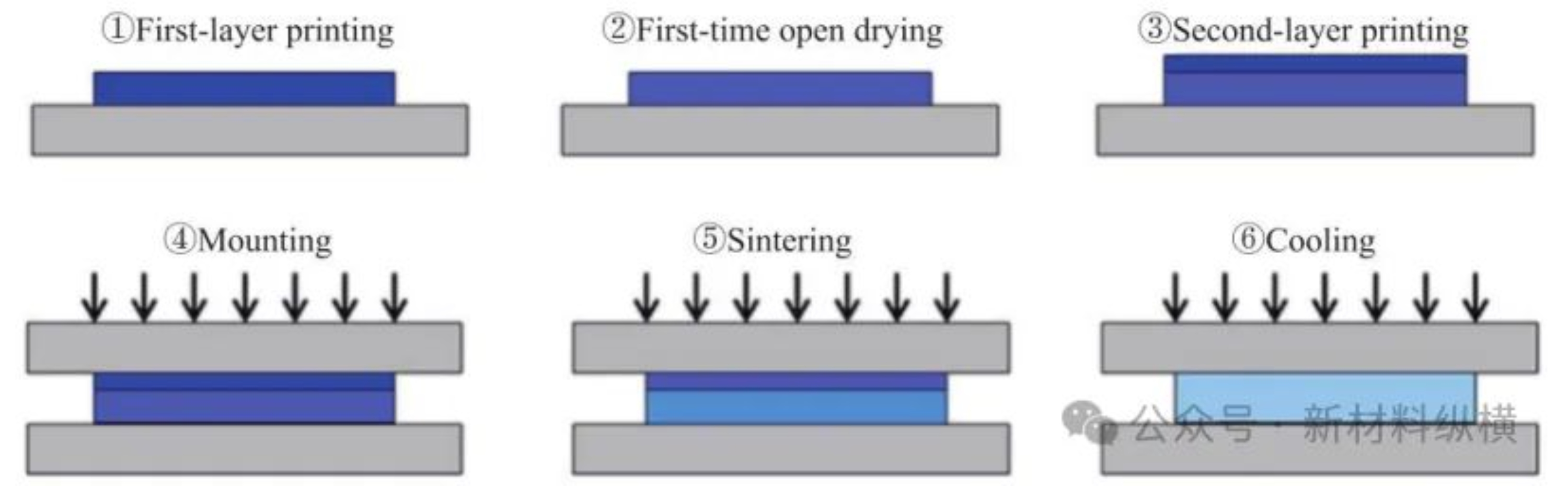 2025新澳门免费原料宝典