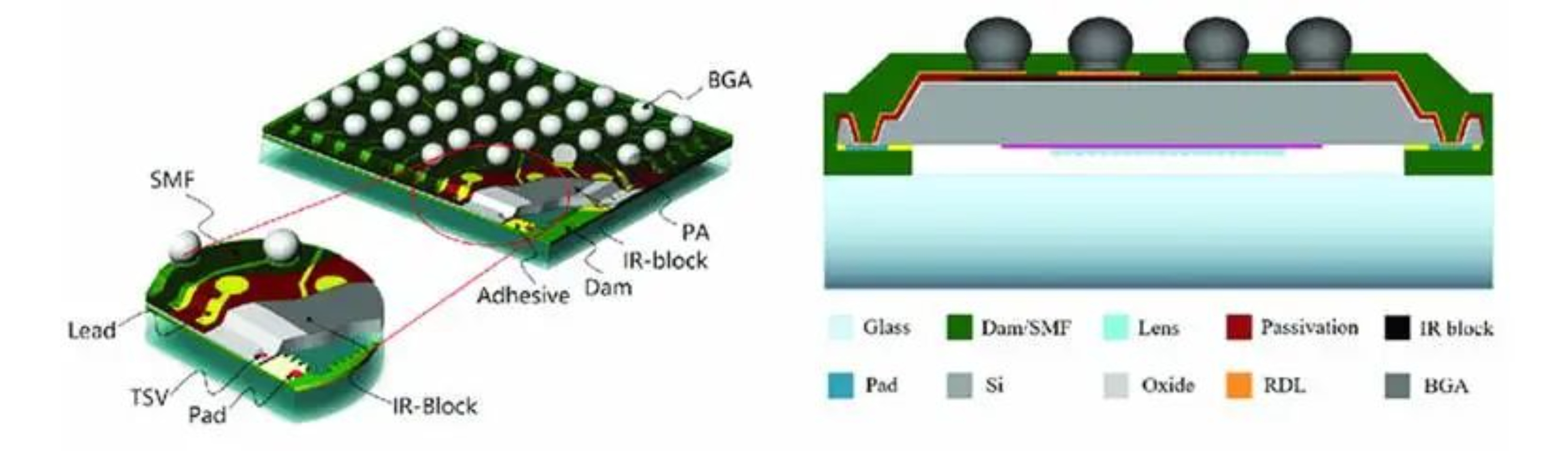 2025新澳门免费原料宝典