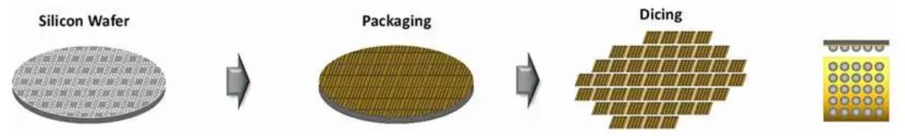 2025新澳门免费原料宝典