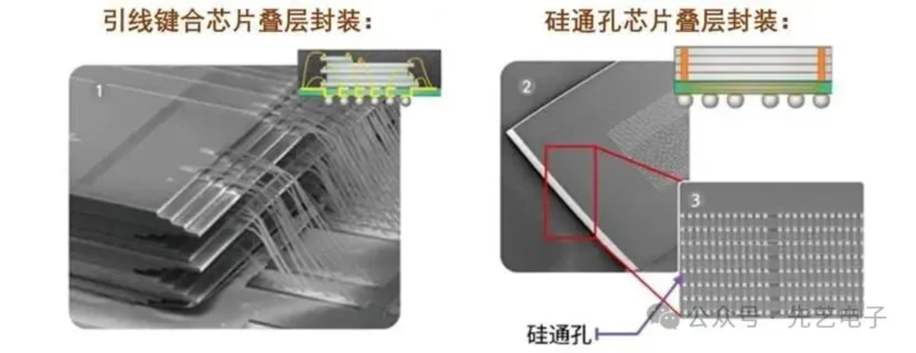 2025新澳门免费原料宝典