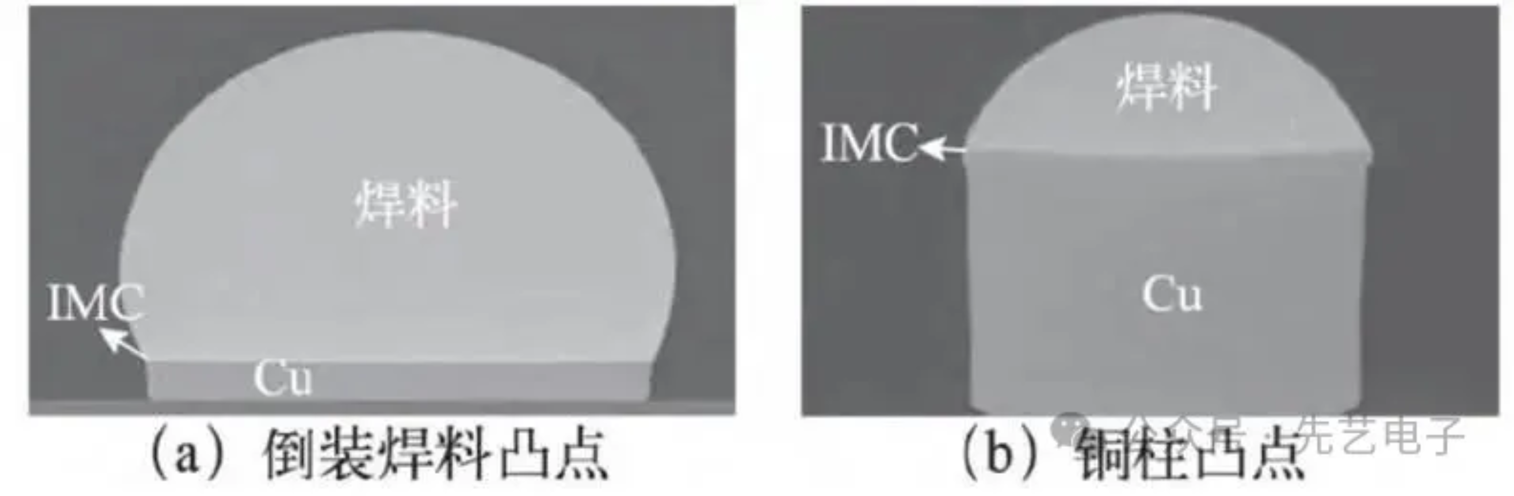 2025新澳门免费原料宝典