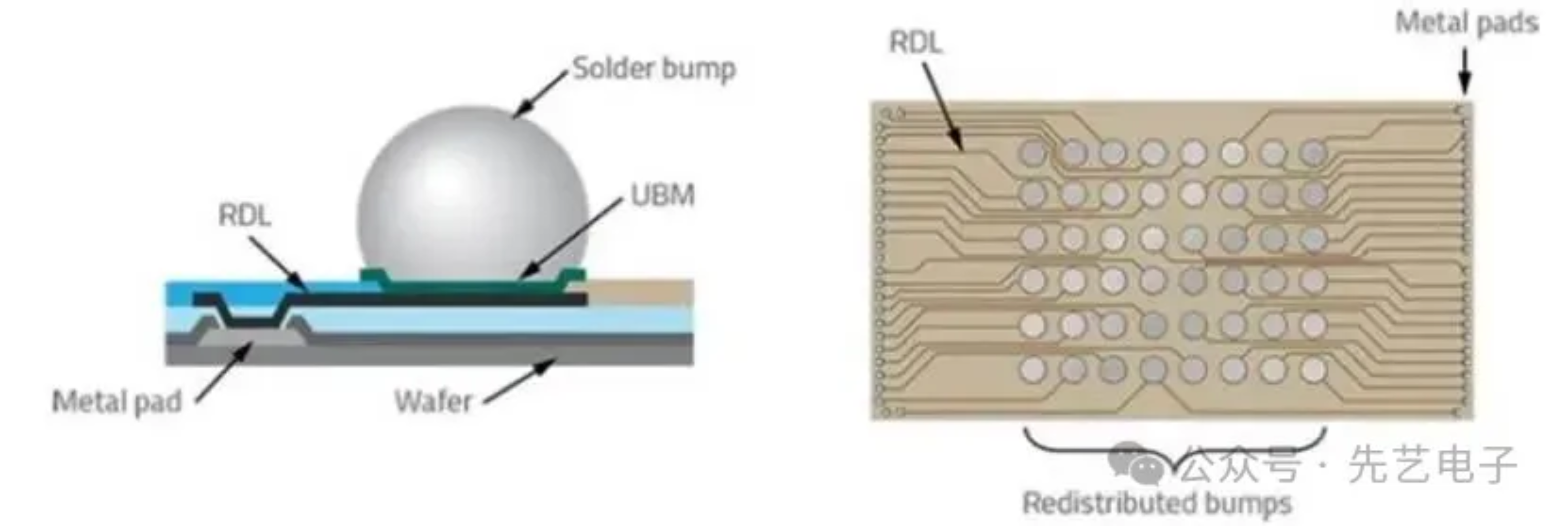 2025新澳门免费原料宝典