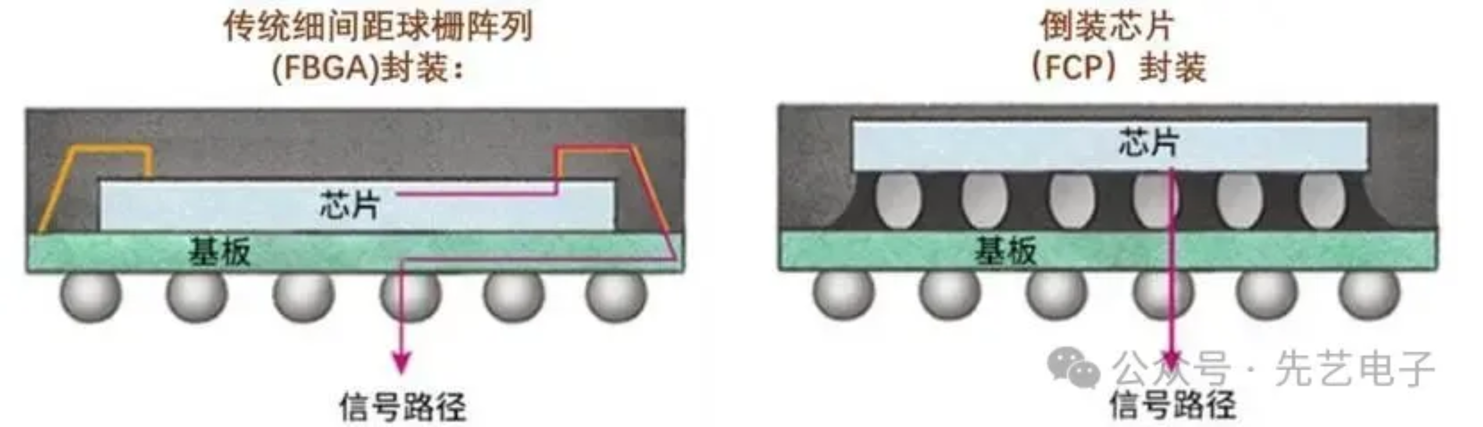 2025新澳门免费原料宝典