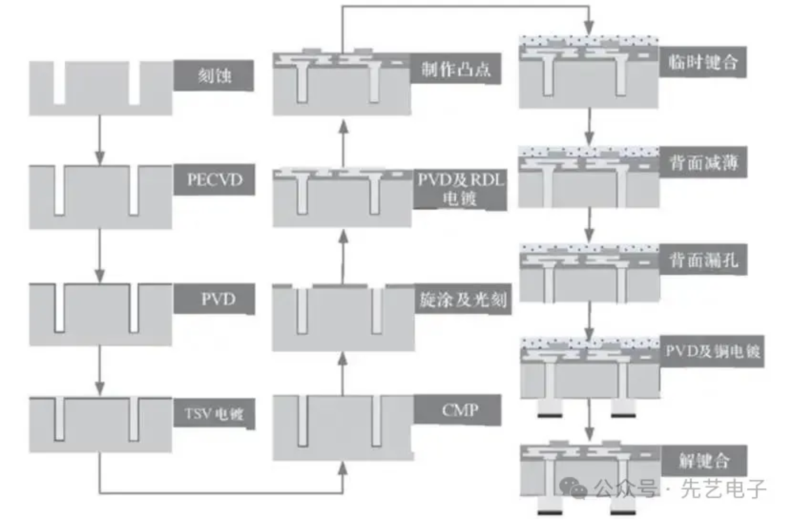 2025新澳门免费原料宝典