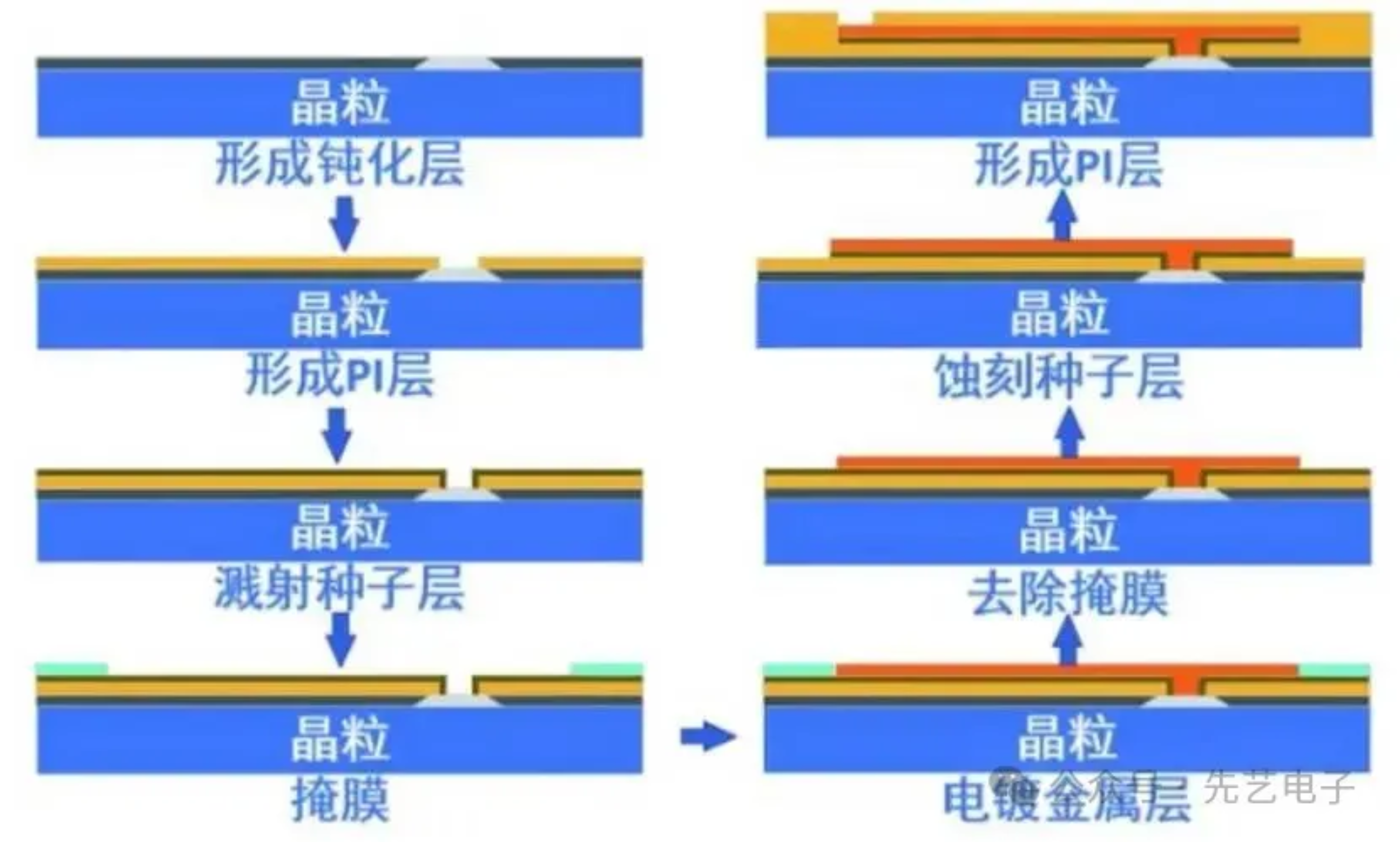 2025新澳门免费原料宝典