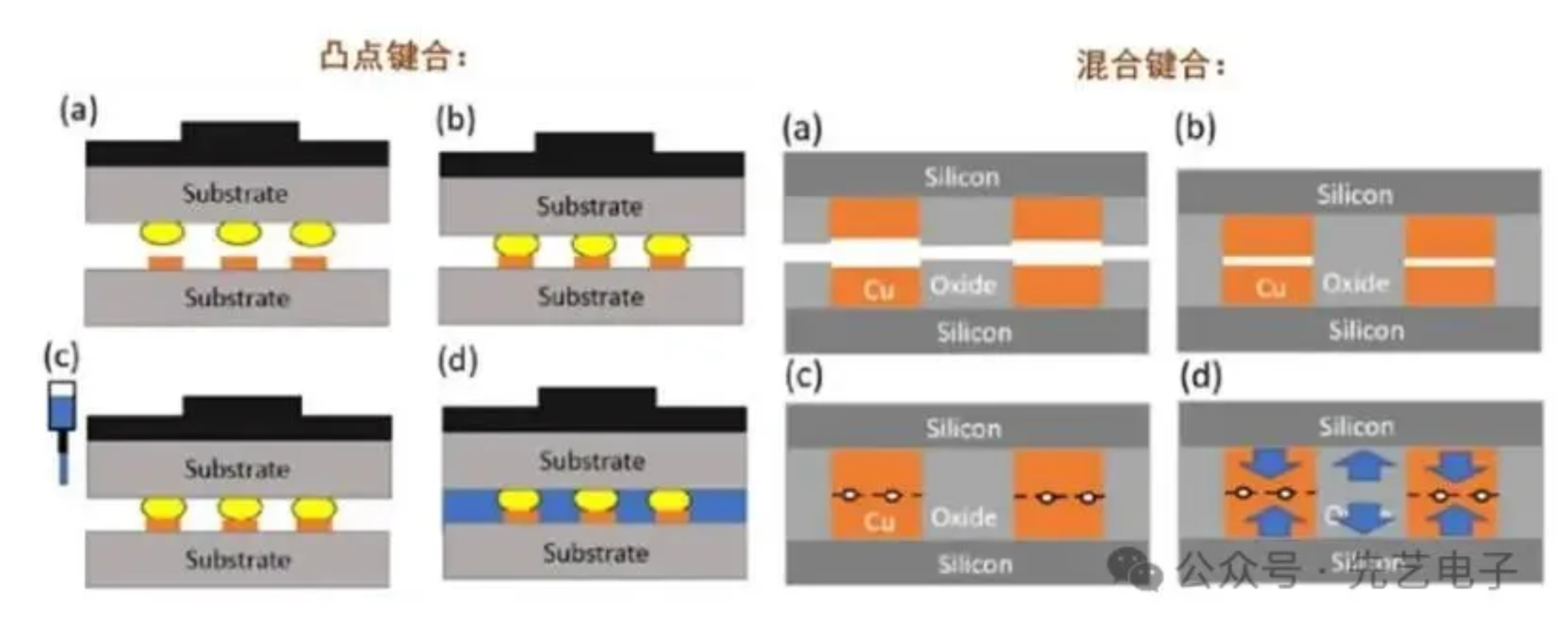 2025新澳门免费原料宝典