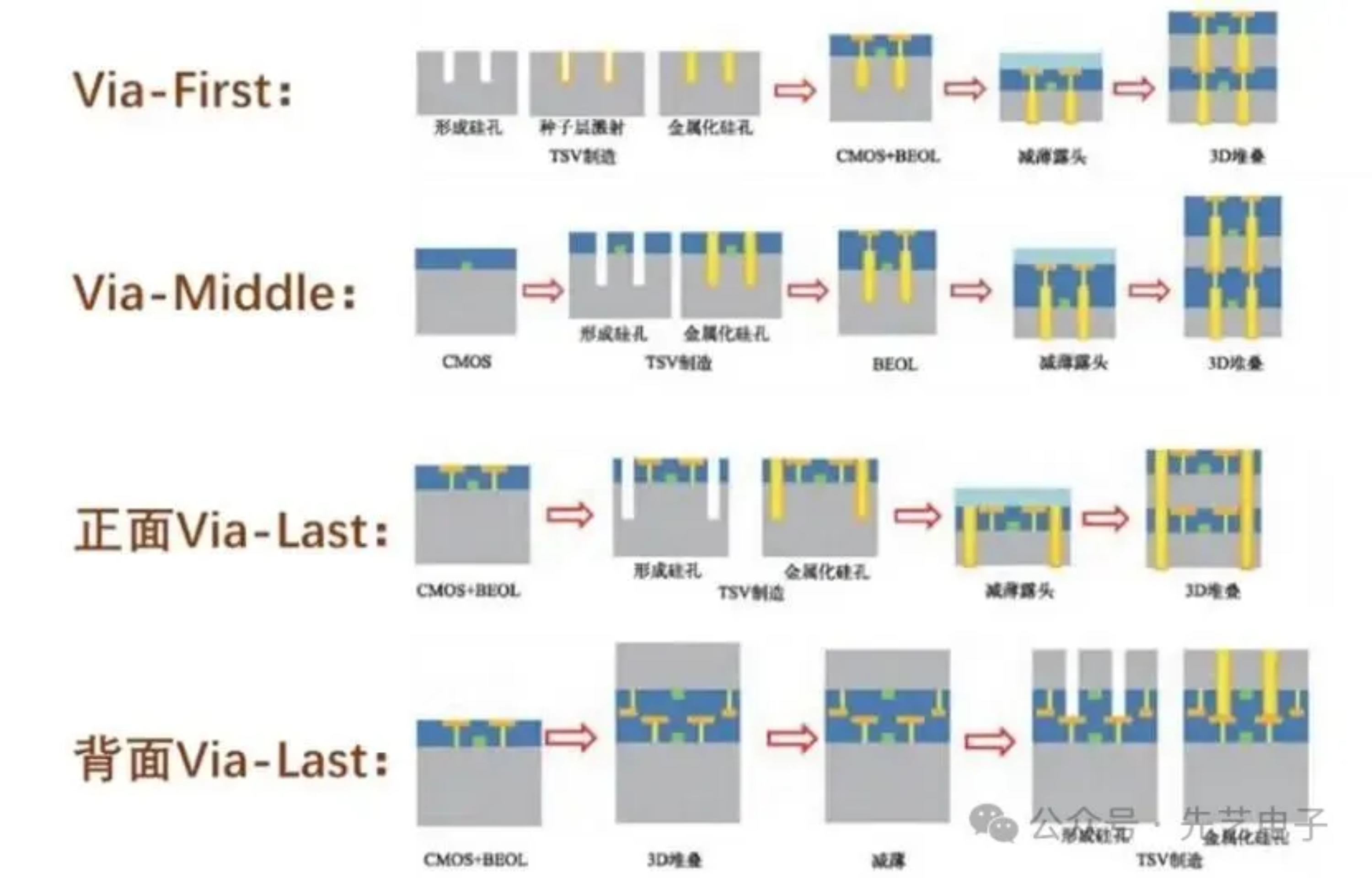 2025新澳门免费原料宝典