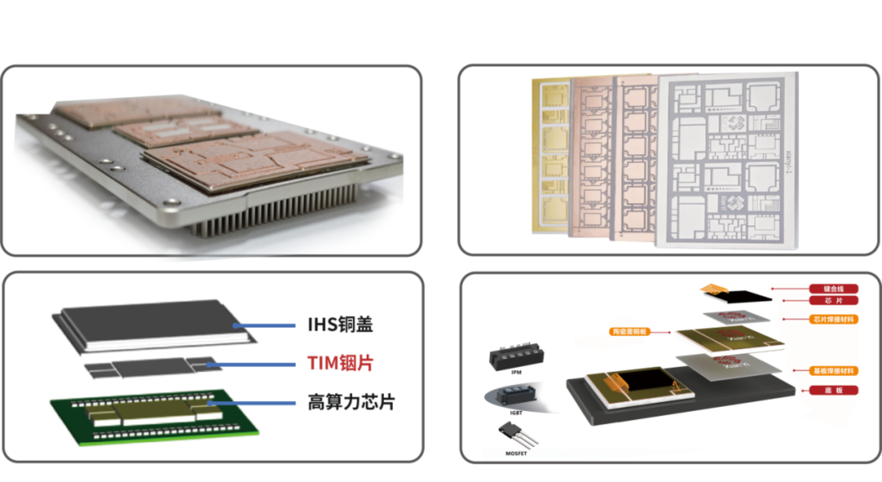 2025新澳门免费原料宝典