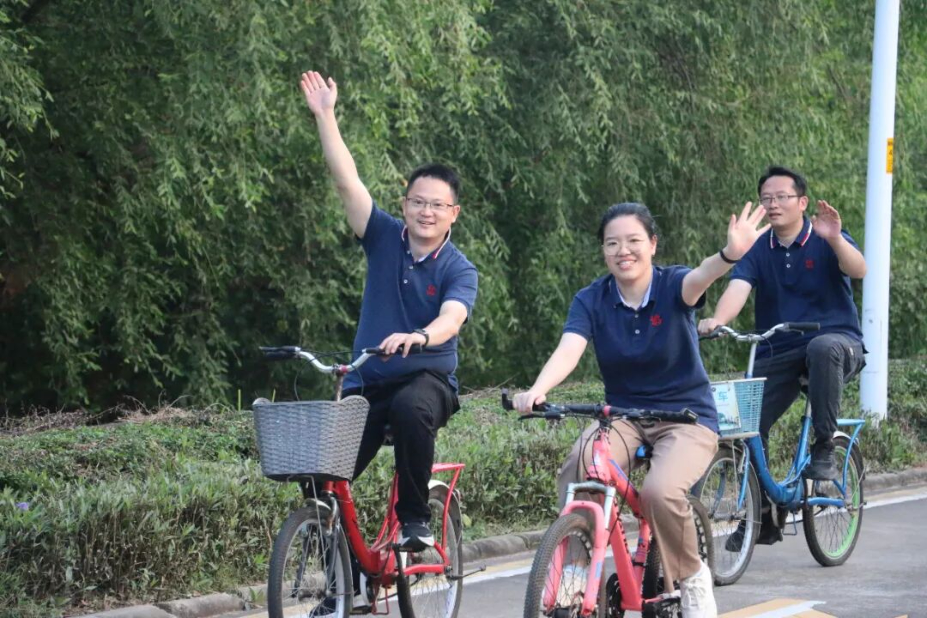 2025新澳门免费原料宝典