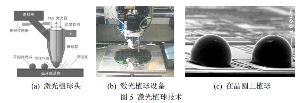 2025新澳门免费原料宝典