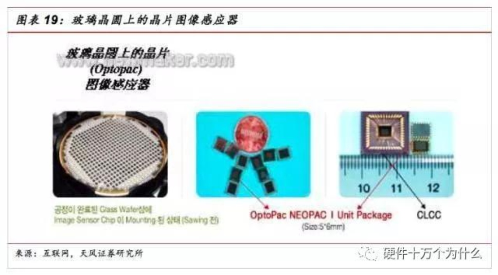 2025新澳门免费原料宝典