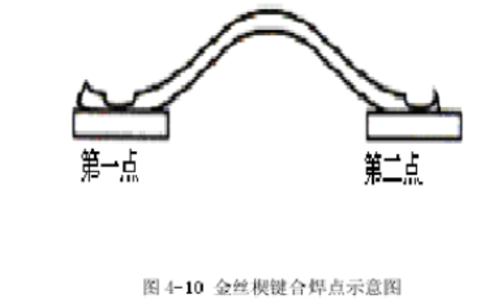 2025新澳门免费原料宝典