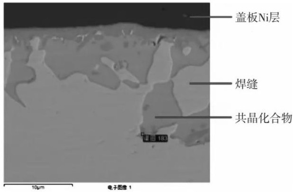 2025新澳门免费原料宝典