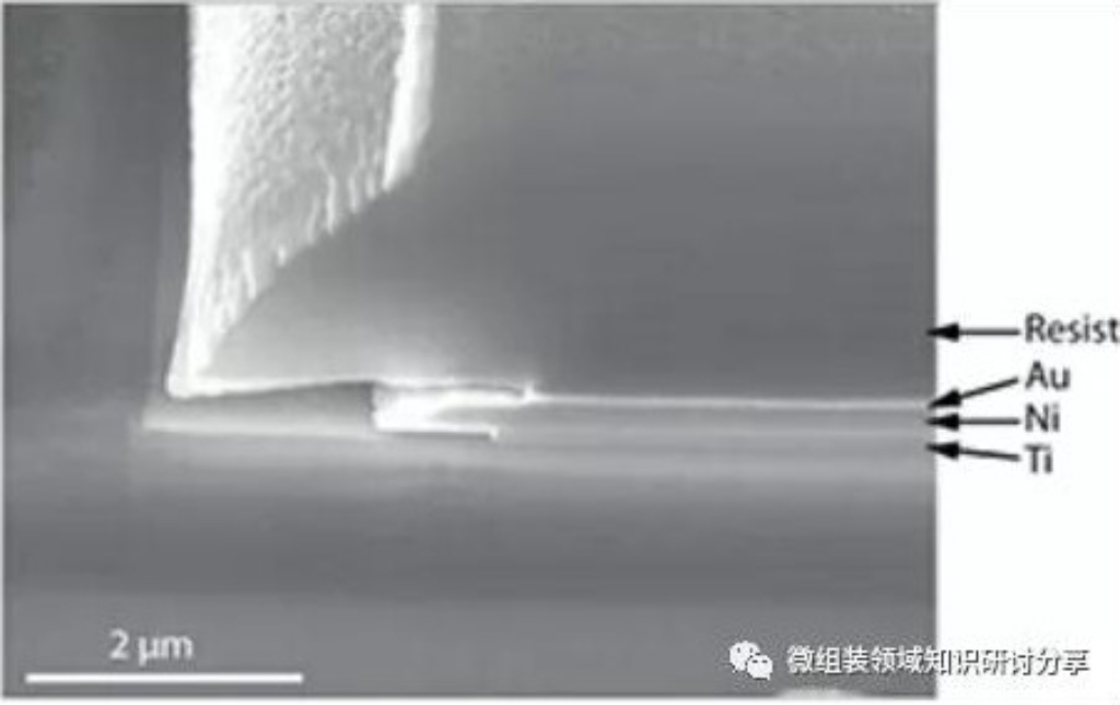 2025新澳门免费原料宝典