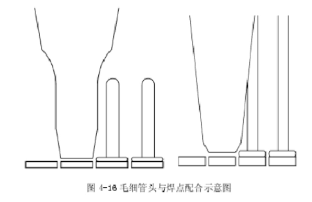 2025新澳门免费原料宝典