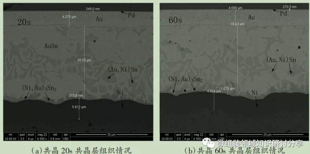 2025新澳门免费原料宝典