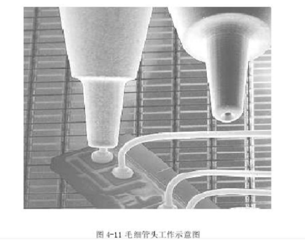 2025新澳门免费原料宝典