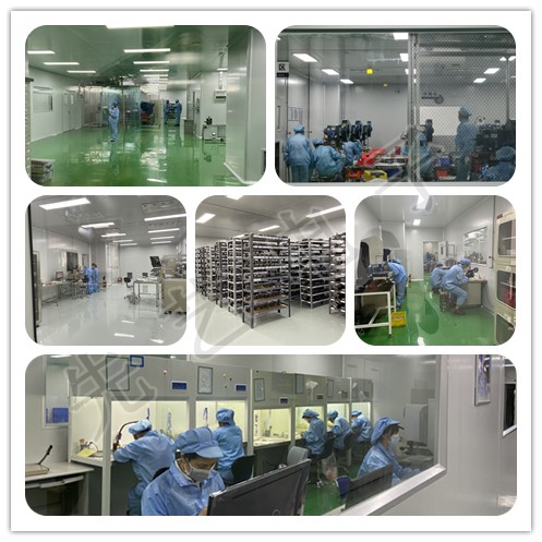 2025新澳门免费原料宝典