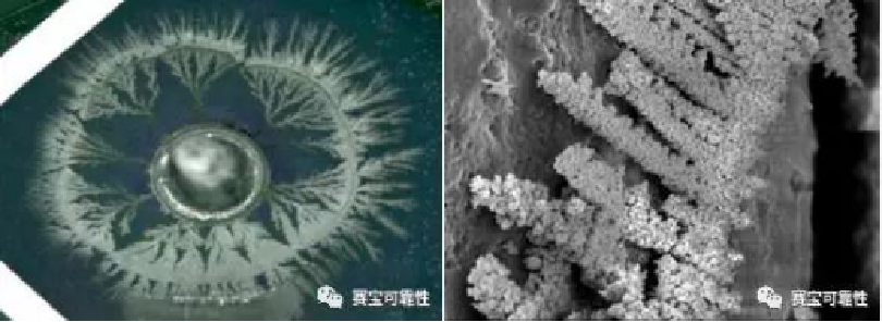 2025新澳门免费原料宝典