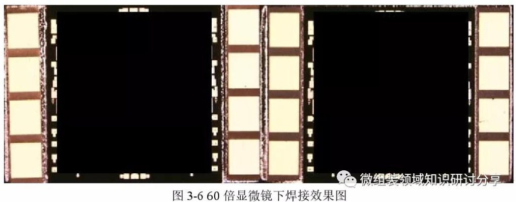 2025新澳门免费原料宝典