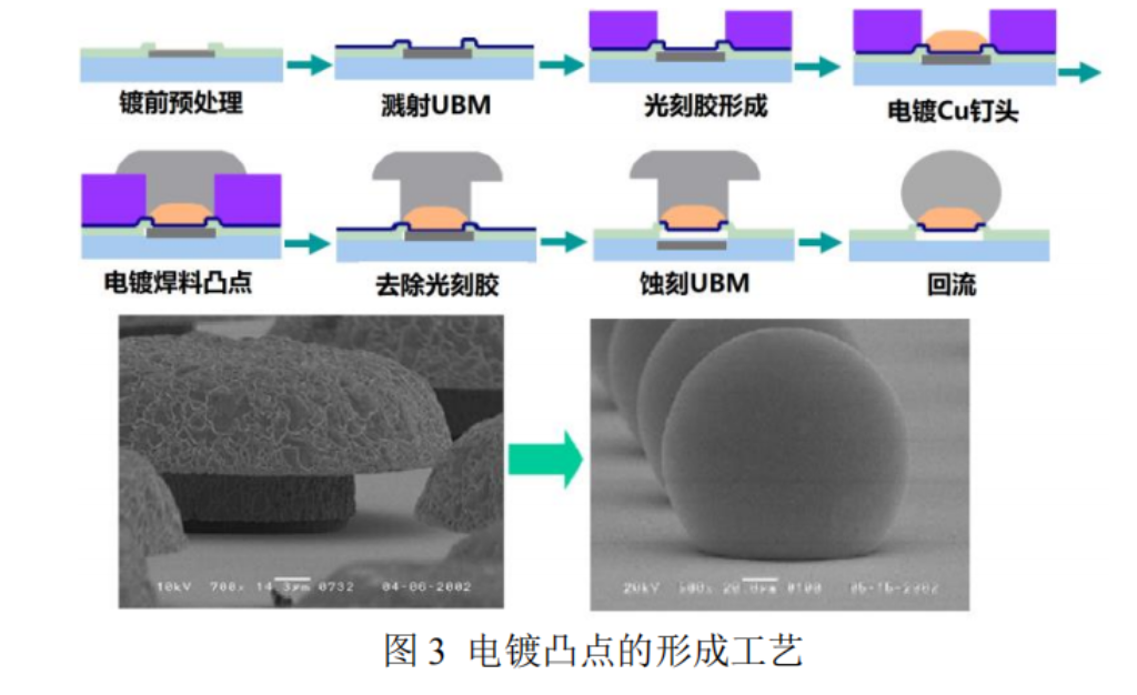 2025新澳门免费原料宝典