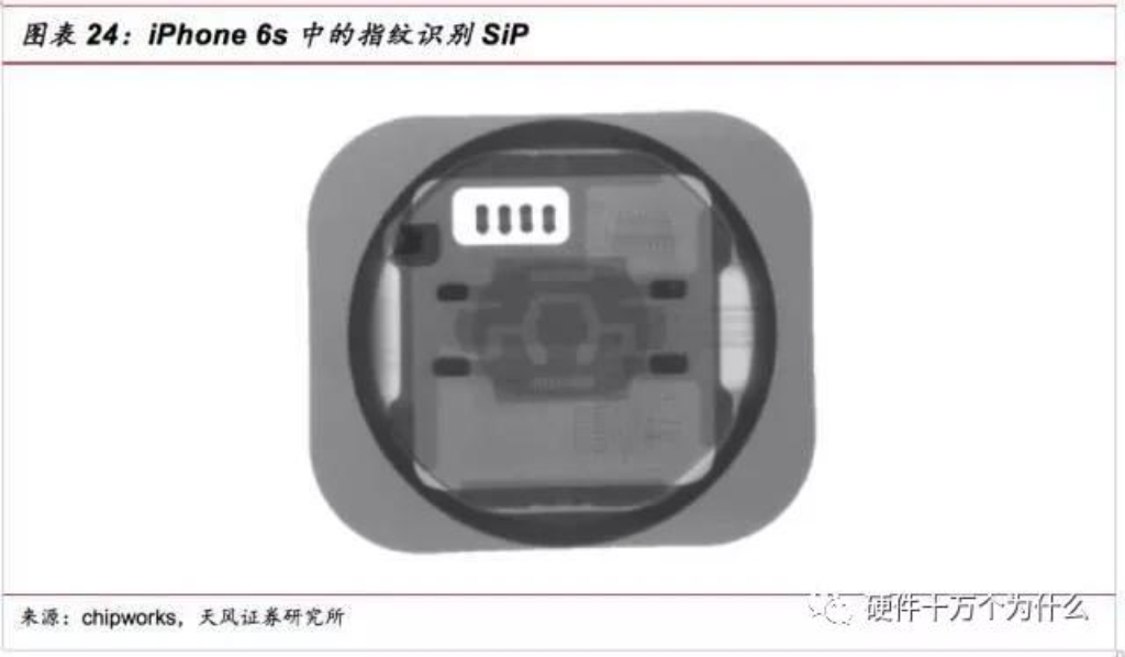 2025新澳门免费原料宝典