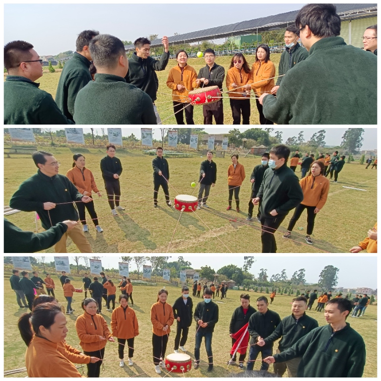 2025新澳门免费原料宝典