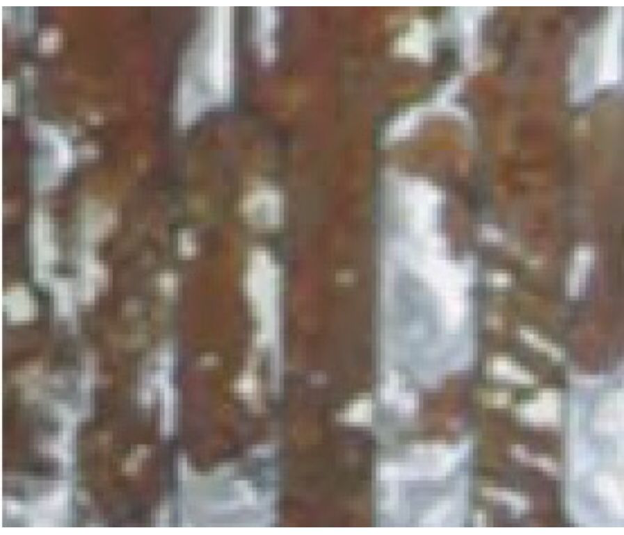 2025新澳门免费原料宝典