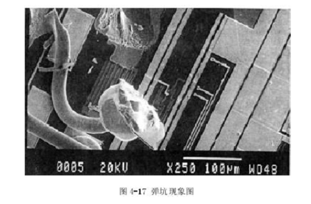 2025新澳门免费原料宝典