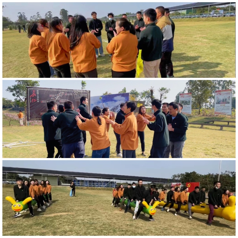 2025新澳门免费原料宝典