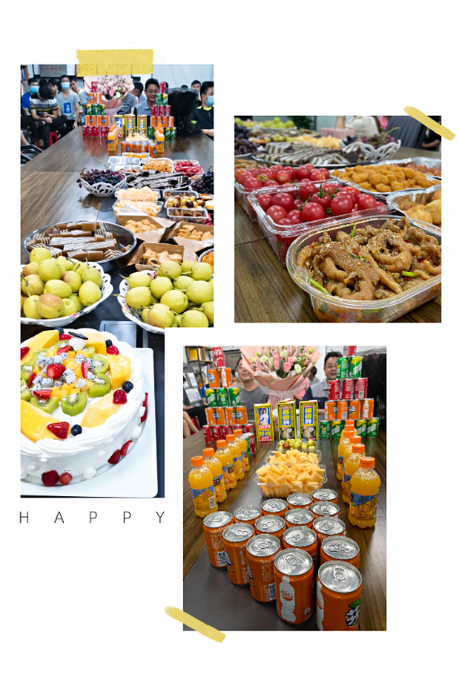 2025新澳门免费原料宝典